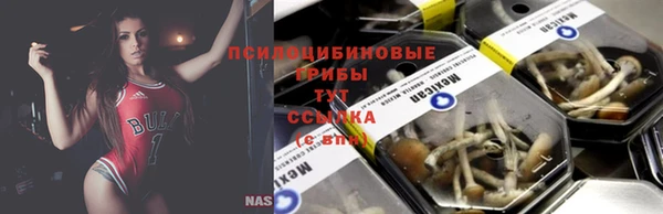 не бодяженный Абаза
