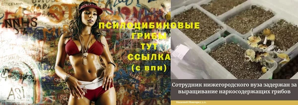 тгк Абинск