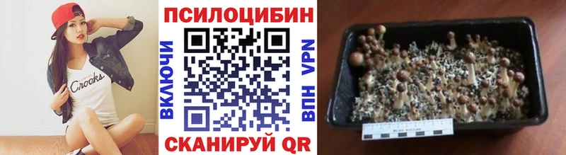 Псилоцибиновые грибы Cubensis  blacksprut   Нижнекамск 